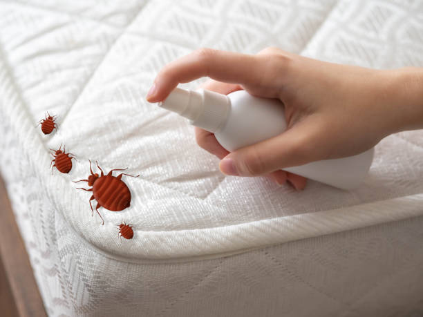 Indoor Pest Control in Monsey, NY